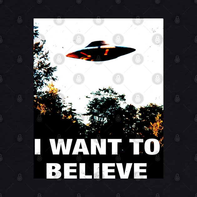 I Want To Believe by Niko Neon